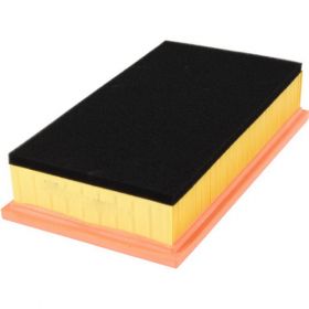 Filter vazduha CAF100711P