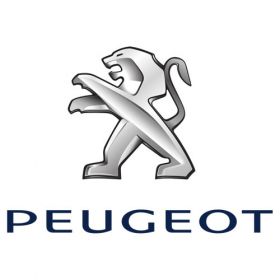 Delovi za mali i veliki servis Peugeot 1007 1.4 HDi 50 kW