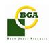 BGA